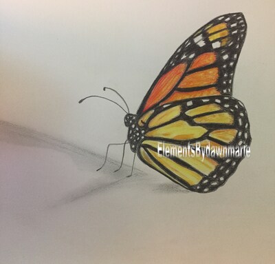 Butterfly art, Butterflies, home decor, wall prints, wall art, - image5